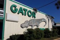 Gator Lodge Jacksonville Extérieur photo